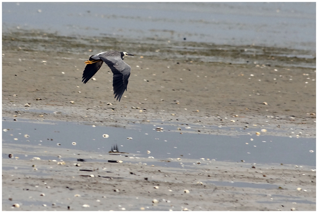 11 - Cape Farewell (14).jpg